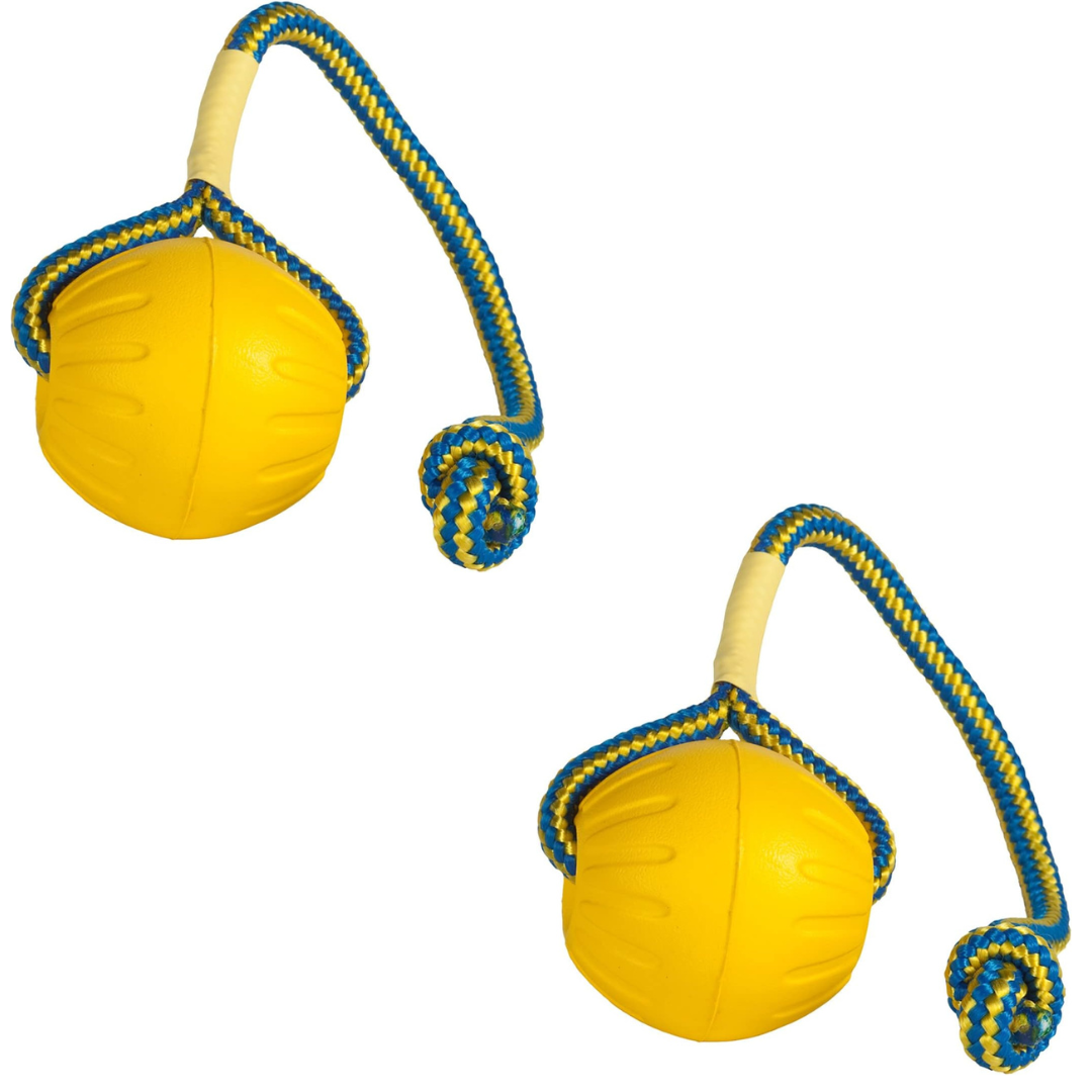 Natural EVA Floating Foam Ball on a Rope Dog Toy for Pet Training, 2.5 Inch-SQ0152983