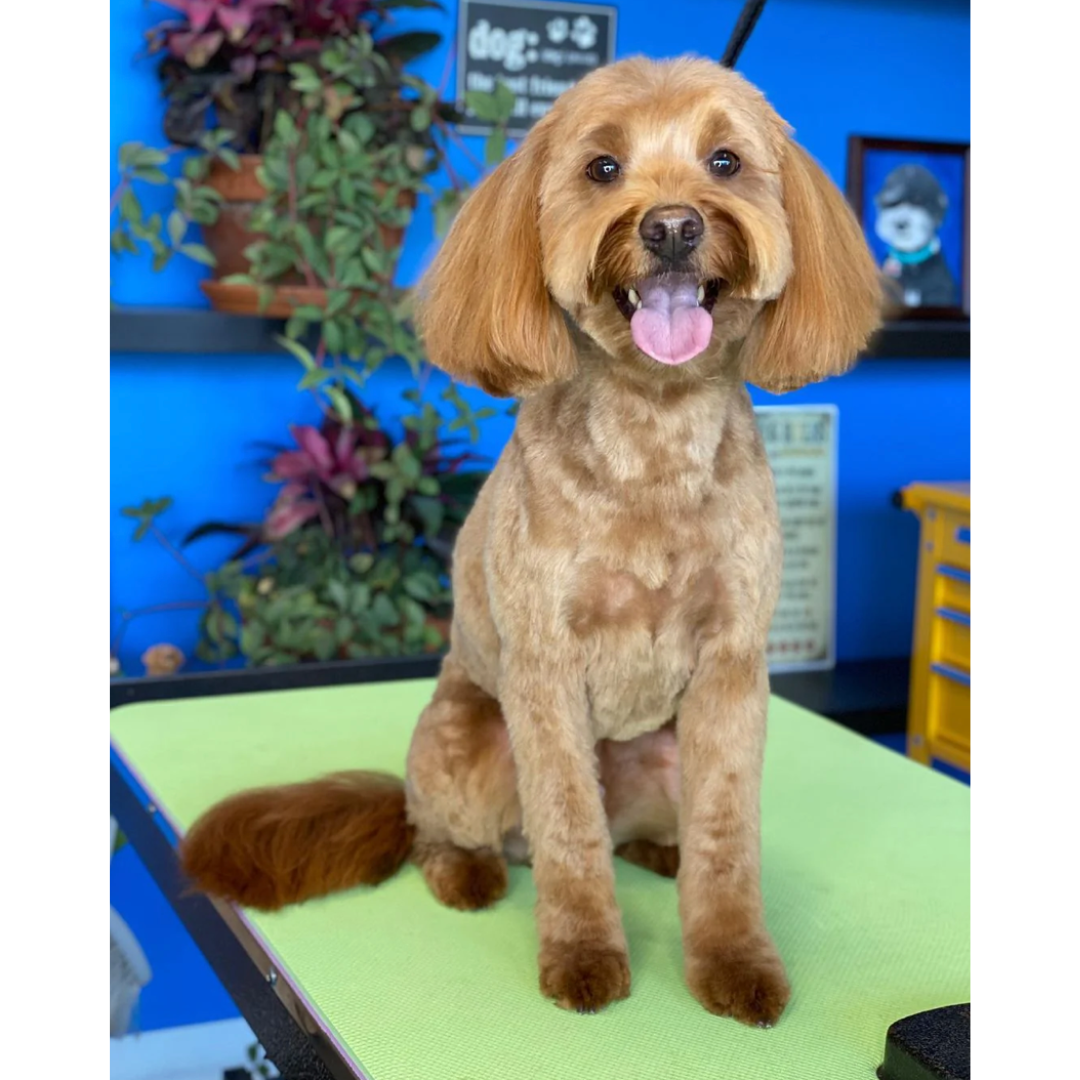 PawMat™ - 36" x 24" Anti-Fatigue Reversible Table Mat-SQ1833127
