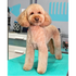 PawMat™ - 48" x 24" Anti-Fatigue Reversible Tub/Table Mat-SQ0576731