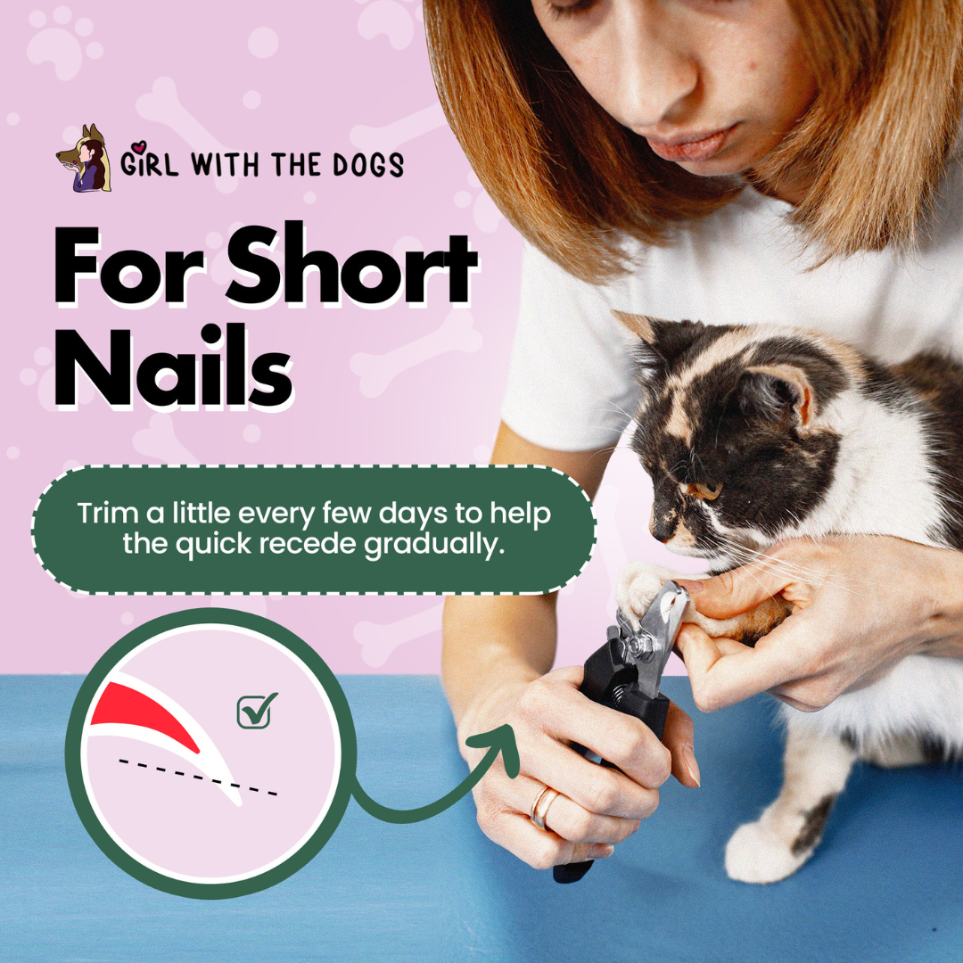 Large, Girl With The Dogs® Stainless Steel Nail Clipper.