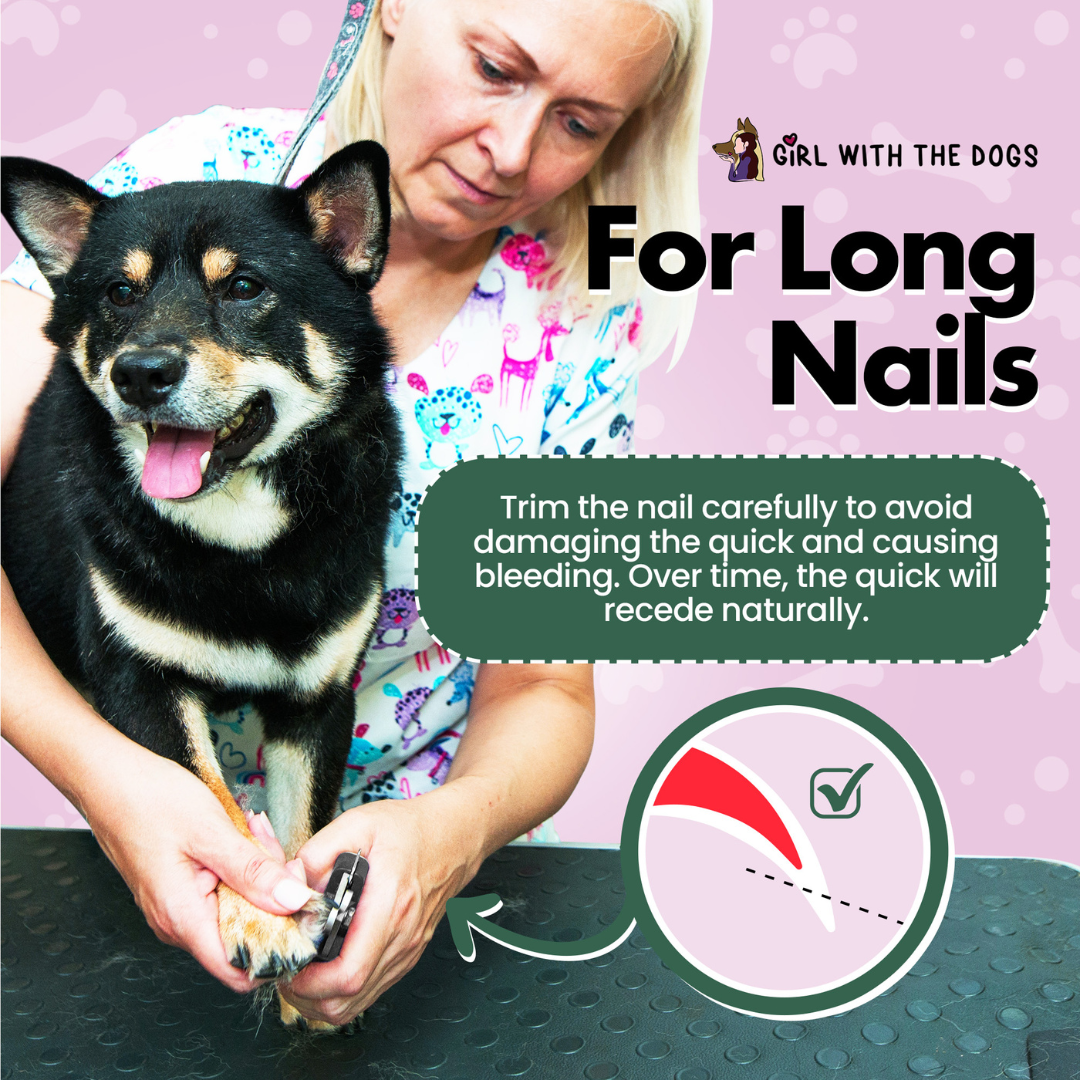 Large, Girl With The Dogs® Stainless Steel Nail Clipper.