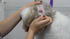 Basic Dog Grooming Course