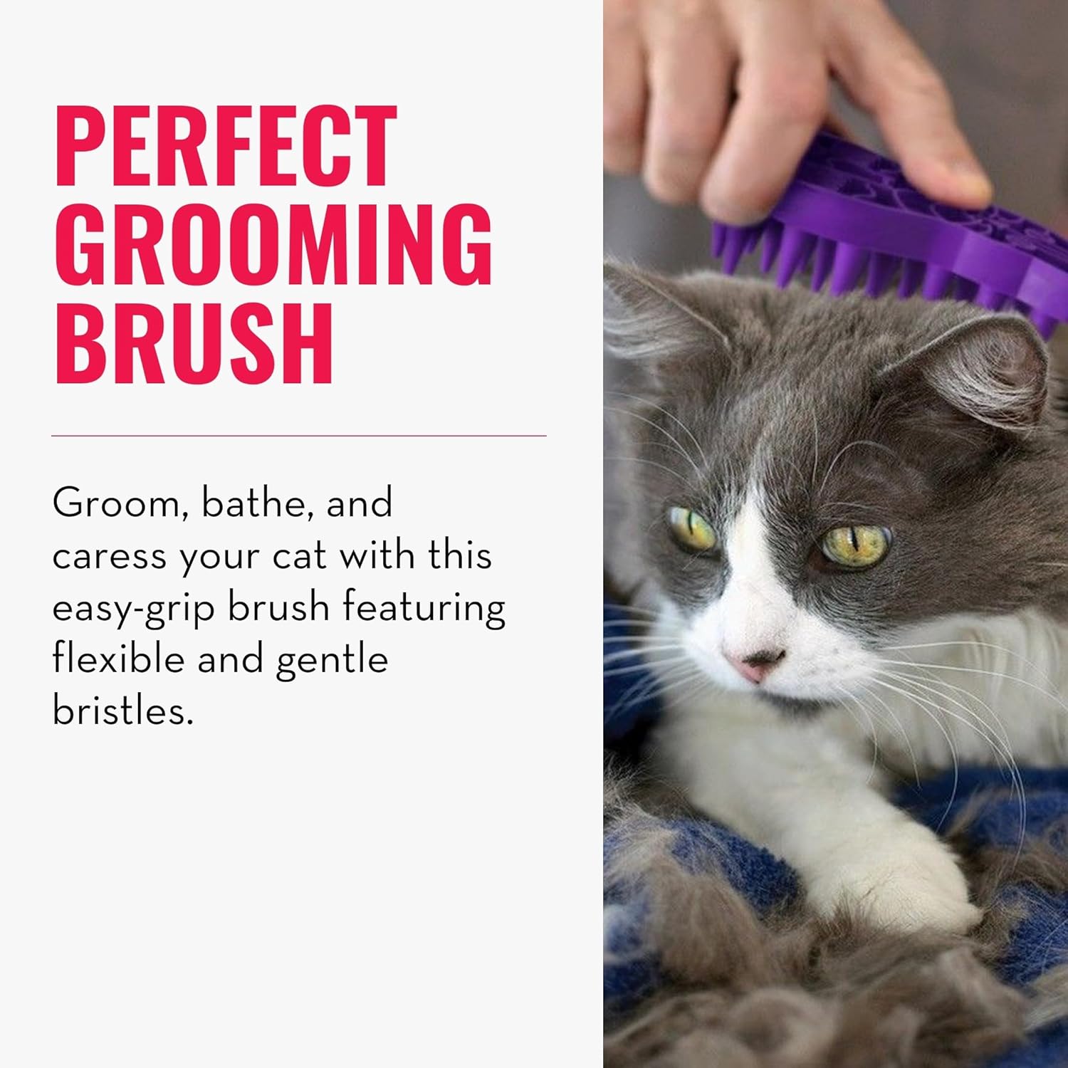 KONG ZoomGroom, Cat