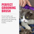 KONG ZoomGroom, Cat