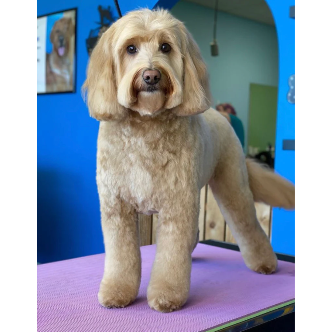 PawMat™ - 48" x 24" Anti-Fatigue Reversible Tub/Table Mat-SQ0576731
