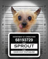 GWTD Bean Sprout Apparel-SQ1425774
