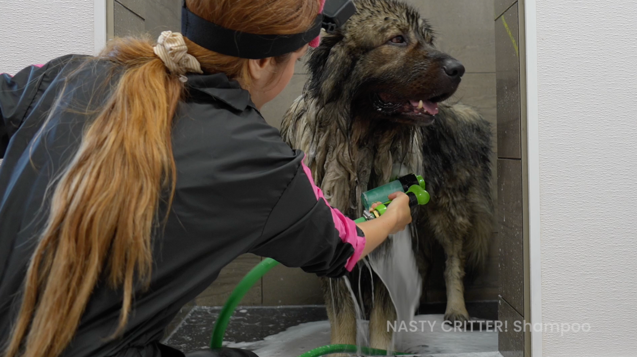 Long-Haired Dog De-Shedding Course