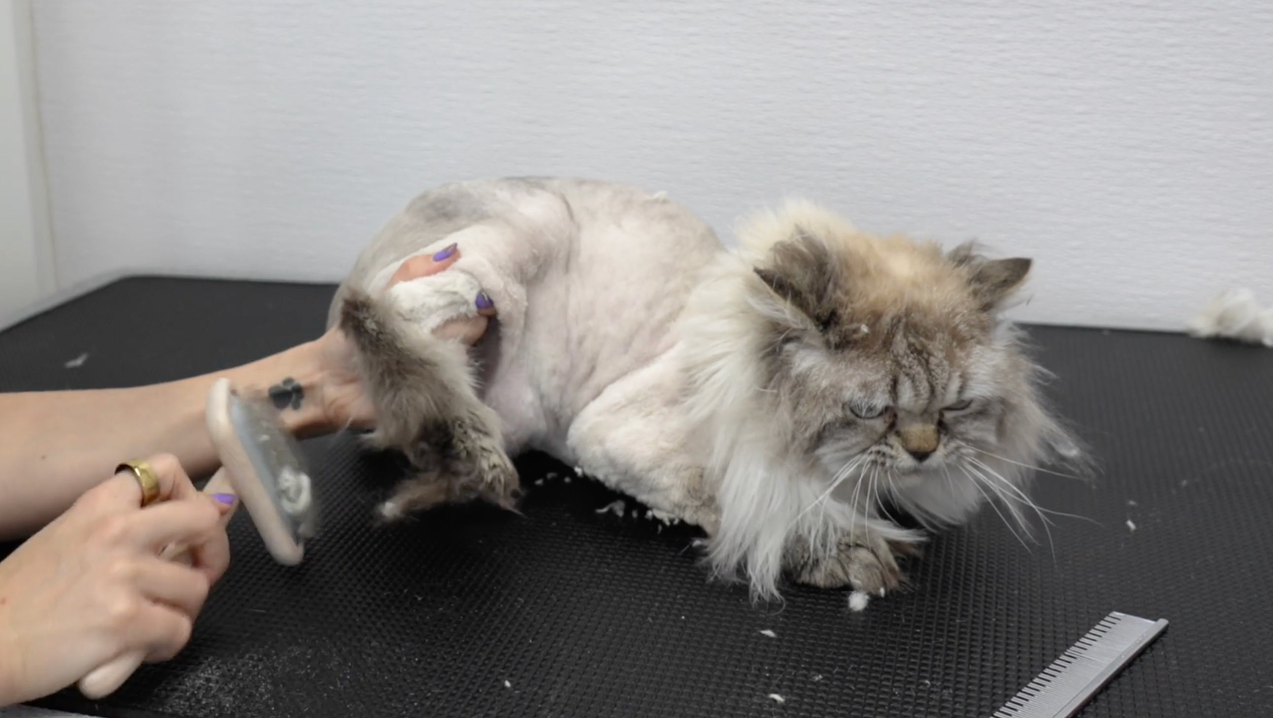 The Matted Cat Course
