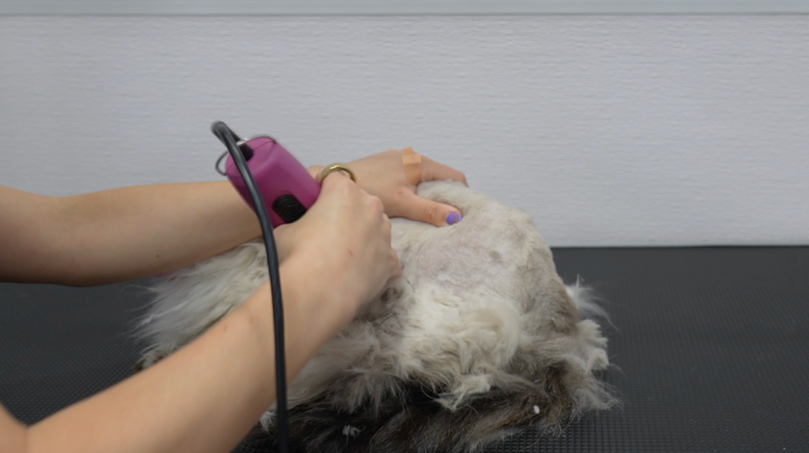 The Matted Cat Course