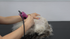 The Matted Cat Course