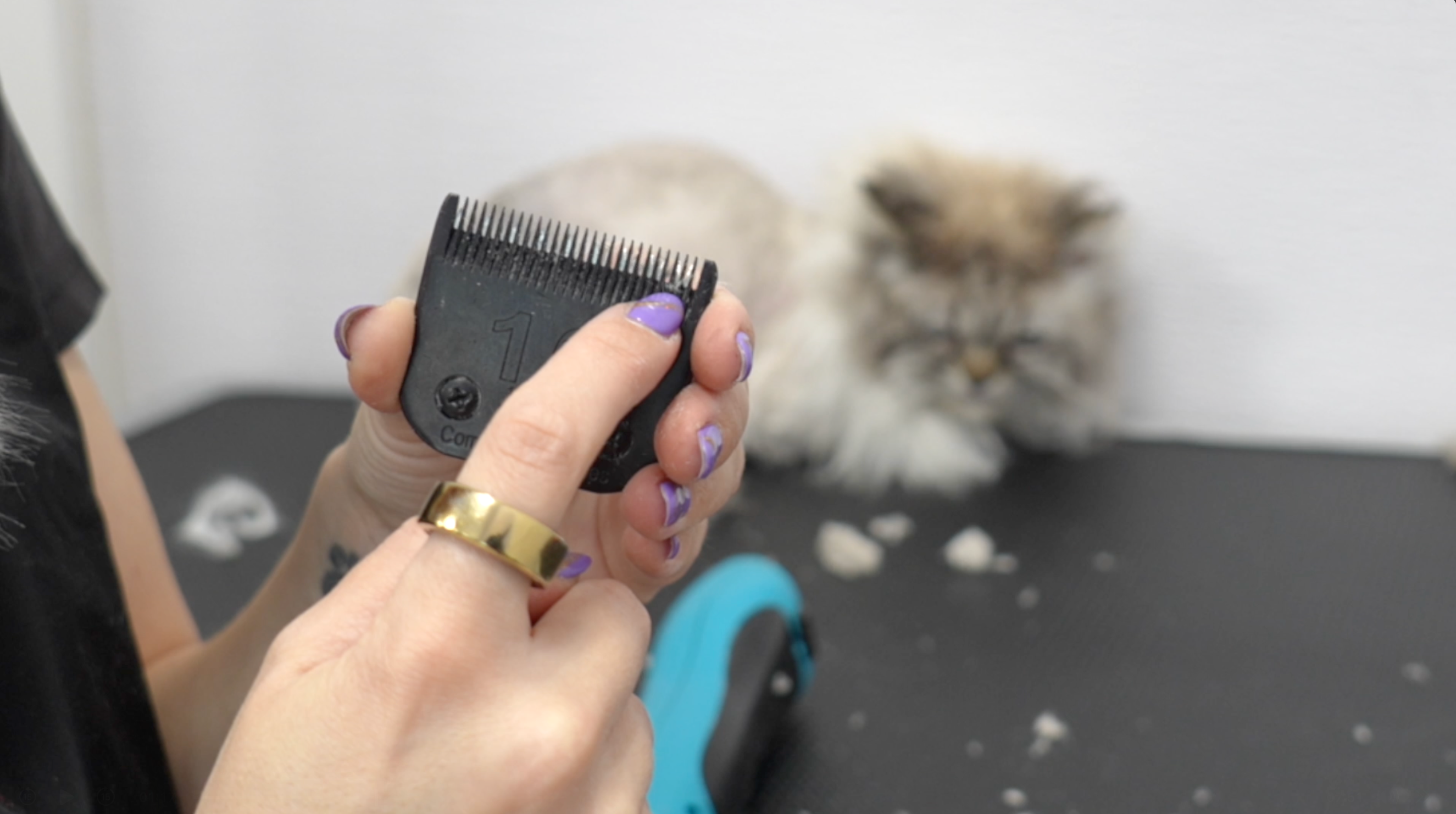 The Matted Cat Course