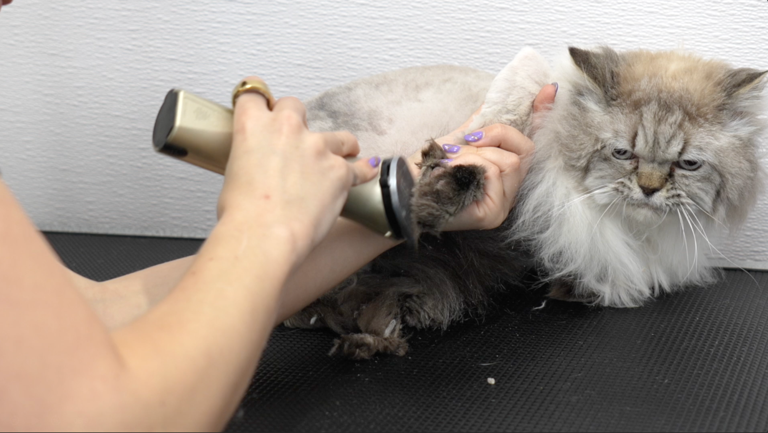 The Matted Cat Course