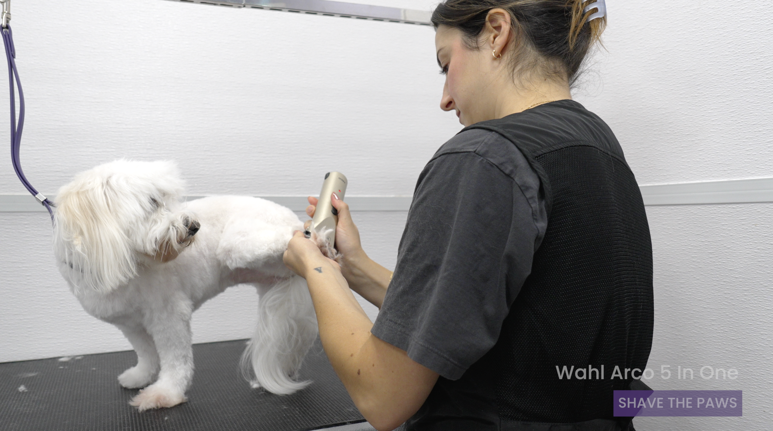 Teddy Bear Haircut Course