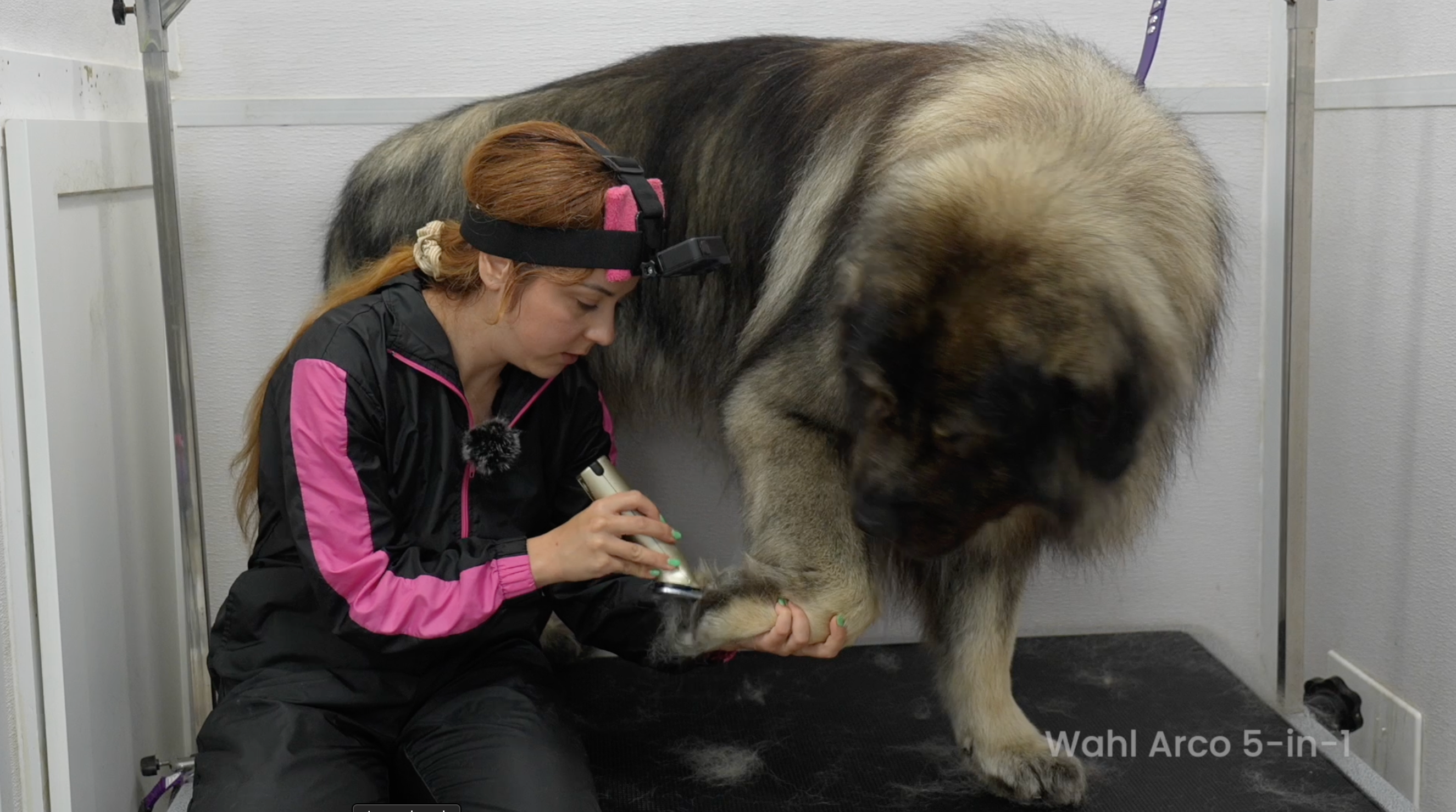 Long-Haired Dog De-Shedding Course