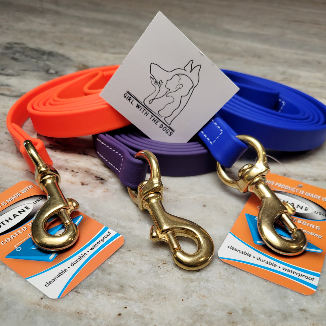 Girl With The Dogs® BioThane Leash-SQ1218794